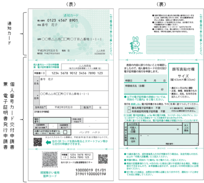 写真：通知カード、個人番号カード交付申請書兼電子証明書発行申請書（表）（裏）