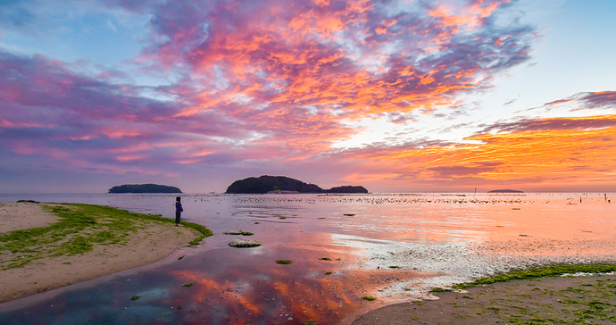 代替テキストなし