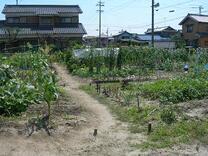 写真：丁田市民農園