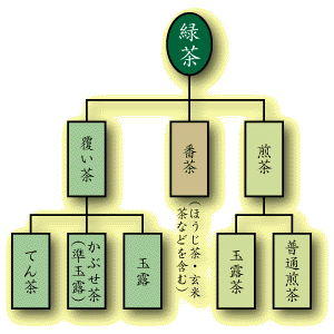 イラスト：緑茶の種類