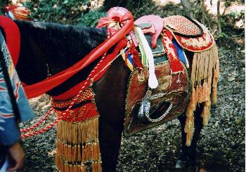 写真：瀬門神社神事馬駈馬具