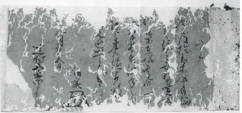 写真:松平清康書状