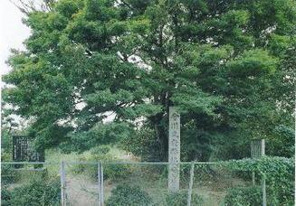 写真：今川氏発跡の地