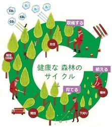 イラスト:健康な森林のサイクル 植える・育てる・収穫する