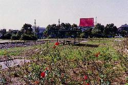 写真2