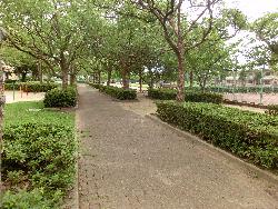 写真:コミュニティ公園2