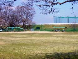 写真:古川緑地3