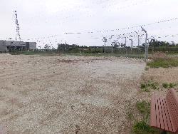 写真:みなとまち1号緑地1