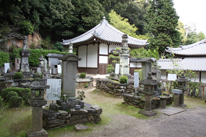 写真：全景