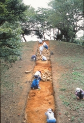 写真：正法寺古墳発掘調査の様子