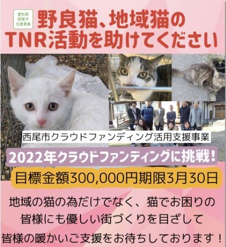 野良猫、地域猫のTNR活動を助けてください