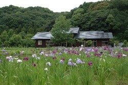写真：西尾いきものふれあいの里