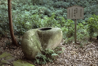 写真：長圓寺手水鉢