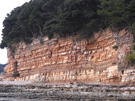 写真：佐久島の地層