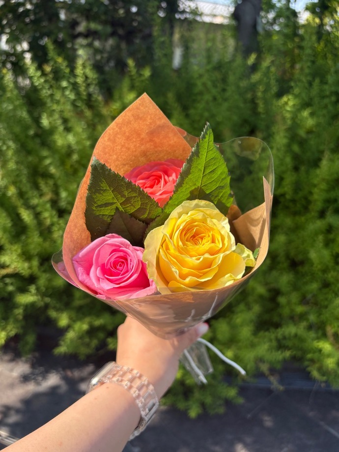 西尾薔薇3本写真です。